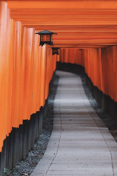 Il depistaggio è finalmente legge dello Stato. La Camera dei Deputati ha esitato definitivamente il disegno di legge.