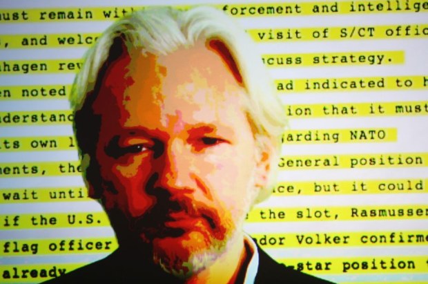 PER GLI ESPERTI DI DIRITTI UMANI DELL’ONU LA SENTENZA CONTRO ASSANGE “CONTRAVVIENE AI PRINCIPI DI NECESSITÀ E PROPORZIONALITÀ”
